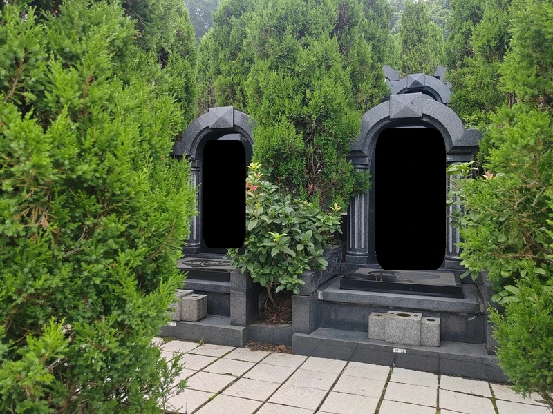 墓园情况