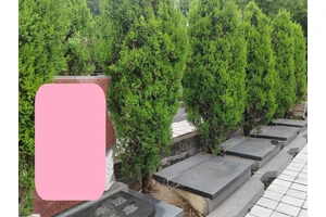 重庆墓园，安葬服务