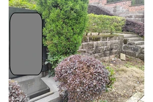 墓园是否拆迁的探讨